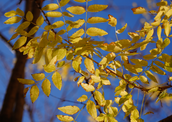 suncitygroup太阳集团