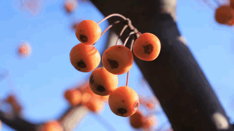 suncitygroup太阳集团